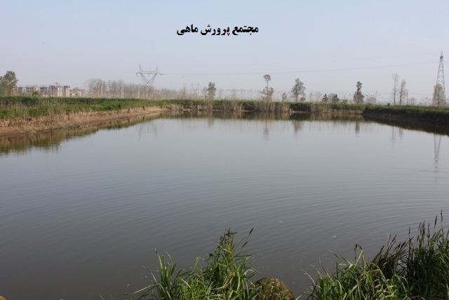 تصاویر آگهی واگذاری