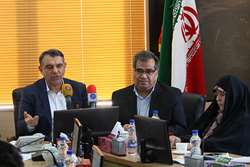 جزئیات طرح ساماندهی سهام عدالت تشریح شد 
